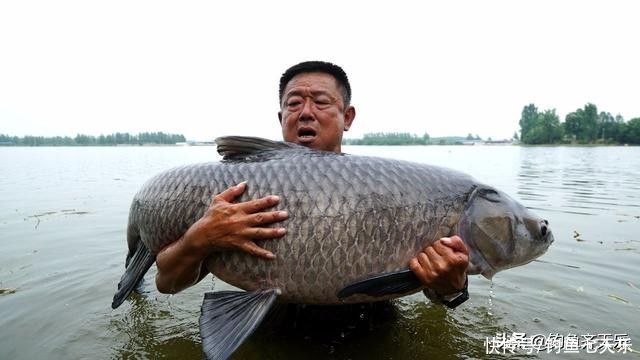 奥运冠军|奥运冠军石智勇是个钓鱼迷，他能赢过专业钓鱼人吗？网友：有点悬