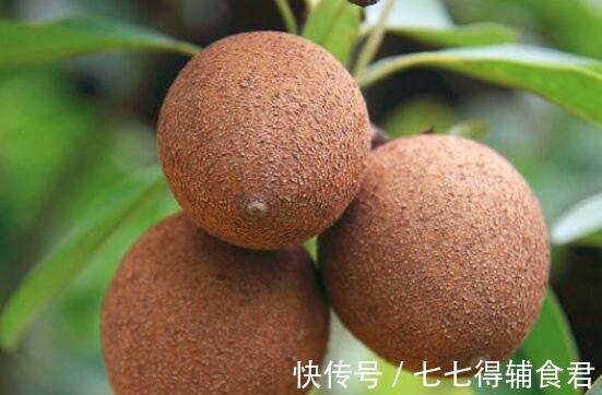 抗衰|女性担心衰老，多吃的好食物，能美容抗衰，滋阴补气，肌肤更好