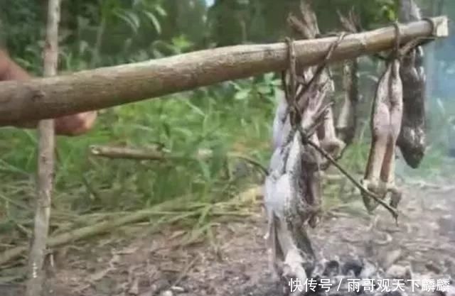 才能|只有农村孩子才能吃到的“野味”,现在没人敢吃,吃货:贴钱也不吃!