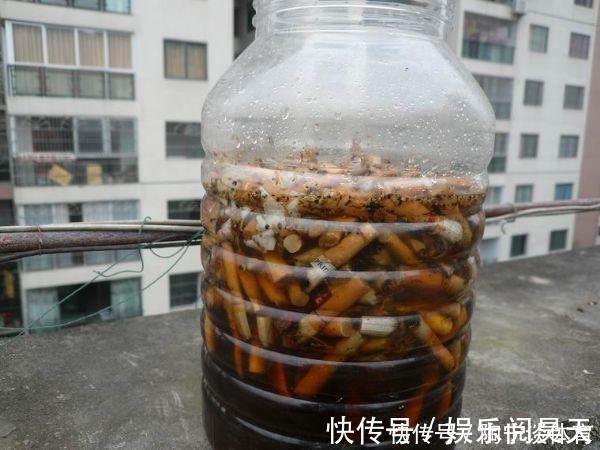 养花|什么药片水、黄豆水,都不如家里“2种灰”,养花杀菌灭虫、补肥