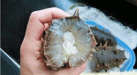  男人晨起3个动作坚持做，让你的肾“壮”如18岁