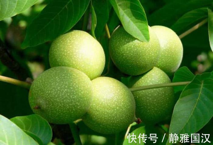 天敌|它是痔疮“天敌”,喝水时加一点,痔疮会慢慢消退