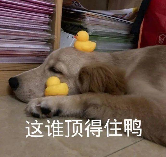 眼部 双眼皮术后恢复的5个阶段,你知道吗?