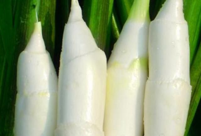 红肉|专家建议吃豆腐不要和5种食物同食,要不进了医院还蒙在鼓中