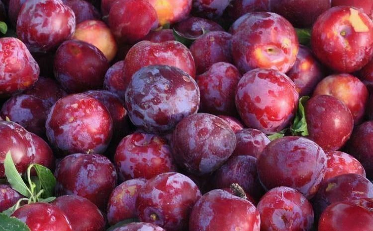 女性担心老太快,要坚持吃3种食物,补充营养,好处多多!