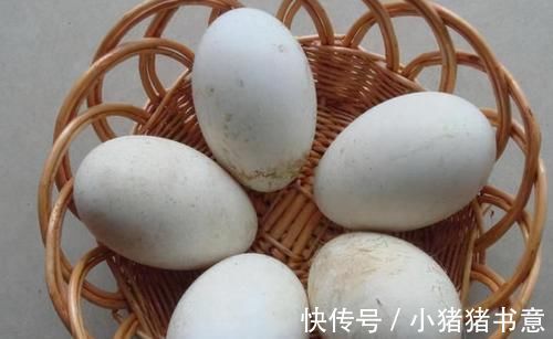 卵白蛋白|每天晚上坚持吃3种食物，排毒养颜、延缓衰老，早吃早健康！