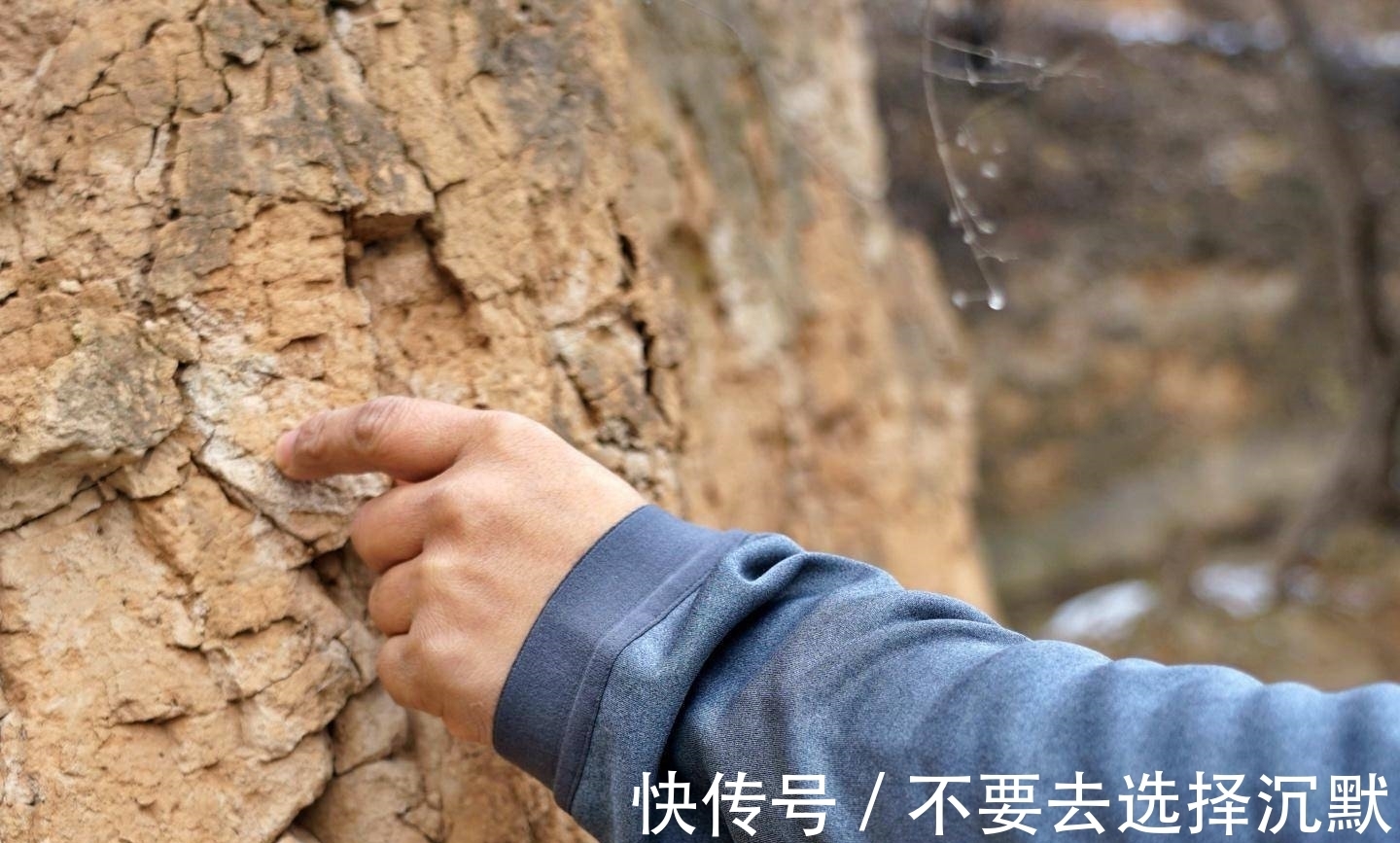 adidas 户外服饰的颜值担当,adidas TERREX连帽夹克外套上手体验