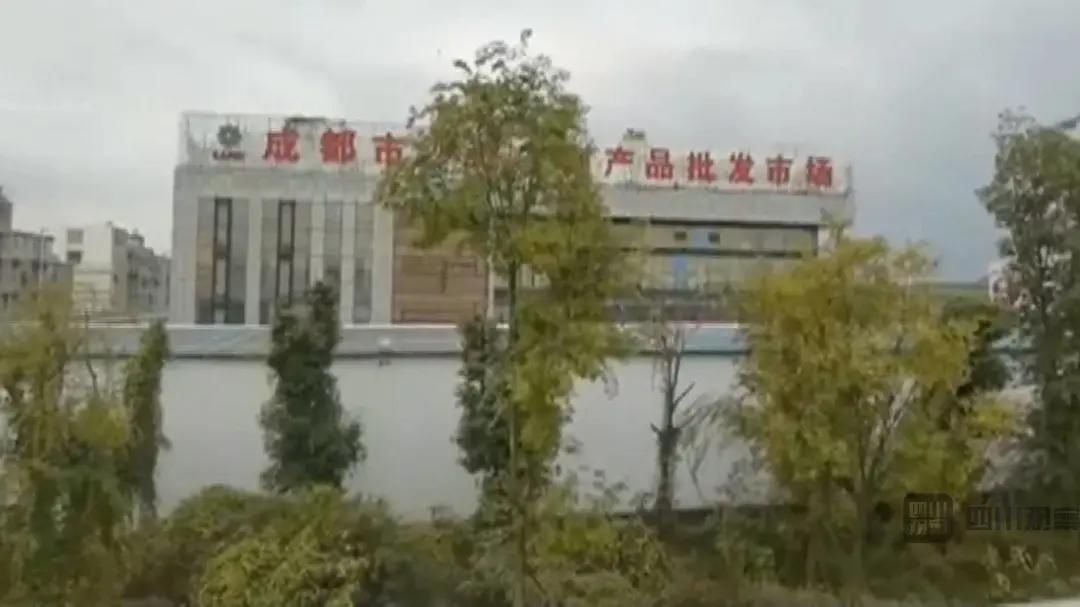  郫筒街道|战“疫”迅速打响，为了那个烟火成都！