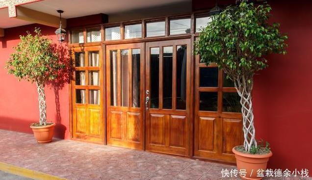 太多人不知道,在家里放上这几款植物,既能驱蚊还能吸甲醛