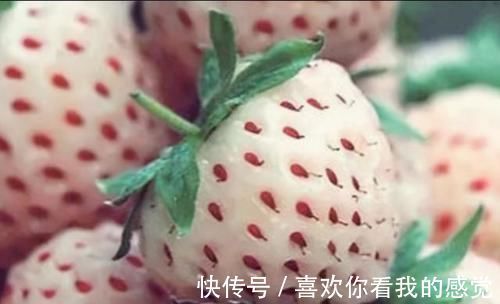 奶奶|“奶奶，我想吃草莓”冬天草莓50元一斤，家长该不该给孩子买？