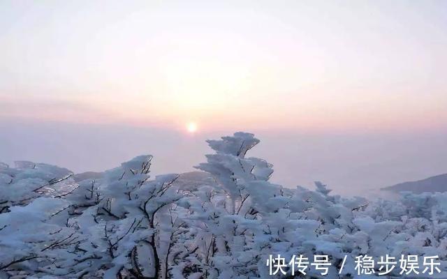 陈飞龙|那份高考时期的爱情，摧残了肉体和心灵