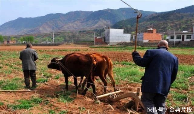 俗语再穷不耕丈人田,下一句才是精华,少为人知,蕴含人生哲理