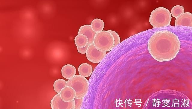 生育年龄|备孕须知,女性做好这几点,也许提高卵子颜值,早日迎接好孕