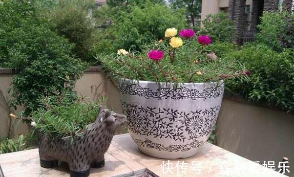 黄菡|参观黄菡老师现实中的家,家具全是复古款式,连碗碟也要用青花瓷