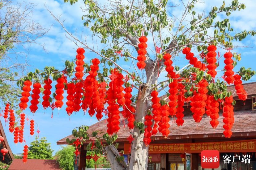 游客们|喜迎新春 三亚鹿回头风景区举办第五届国际新春欢乐节