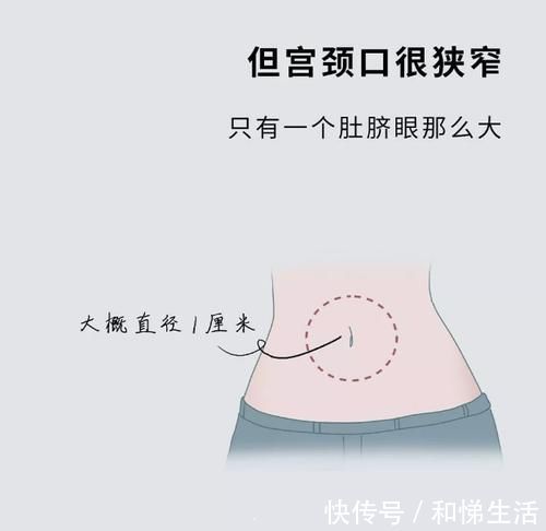 分娩|分娩时“开十指”到底开多大？看完这张图后，网友：妈妈太伟大了