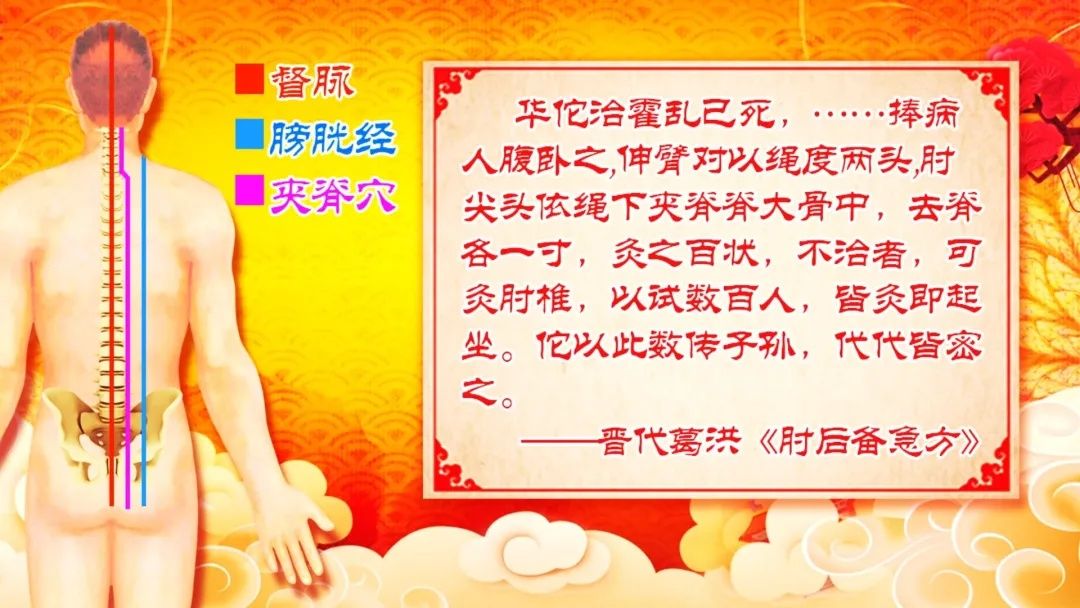 身上有条“长寿脊”,简单三招打通它!心肺不适、腰疼、颈椎痛全部见了~