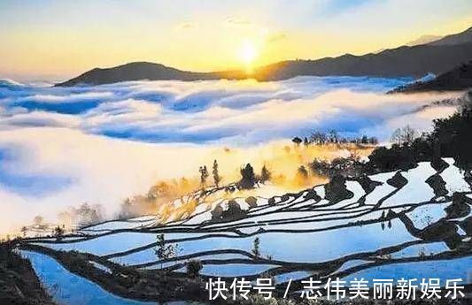 柏拉图$哲学不能升官发财,不能照顾吃喝,要哲学干什么