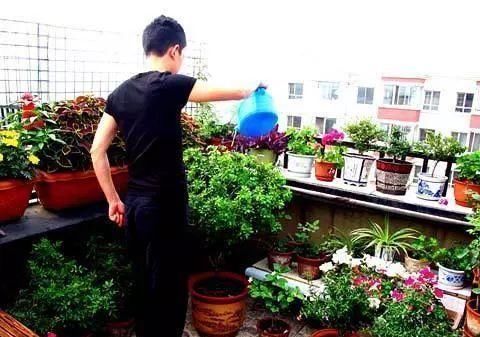 老公不顾反对买二楼的房子,完工后多出一个小花园,邻居都羡慕