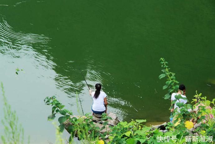草鱼|夏天钓草鱼就选这几个地儿,不上鱼就奇怪了
