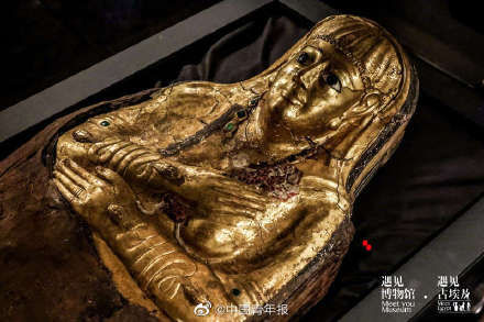 木乃伊|黄金木乃伊来了!