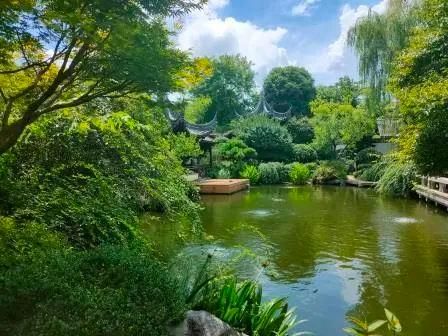 卢文曦|打8折没人要，这次5.6折！杭州“史上最贵法拍豪宅”又要开拍了！装修都花了7000万