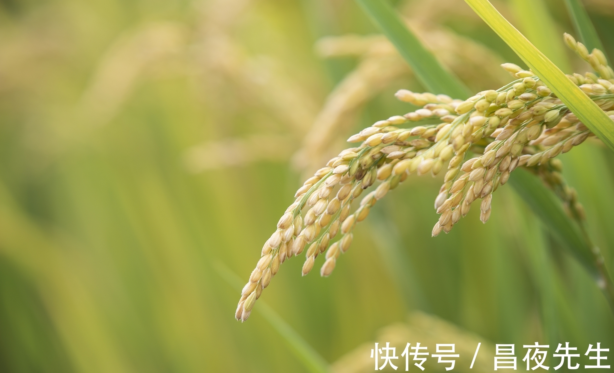 有心计&真正有“心计”的聪明人,往往懂得两种处世哲学,懂一种,也很好