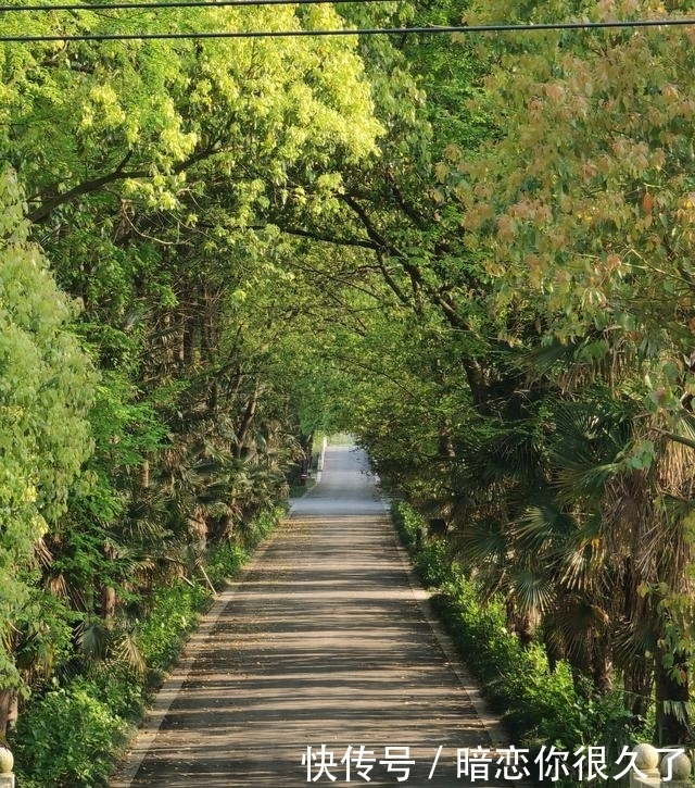 寻春同里，在国家湿地公园邂逅治愈春日之旅