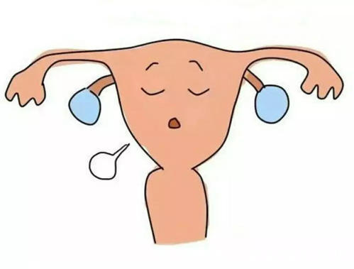 等着我|女性身体这3个部位突出,预示着生育能力强,你占了几个