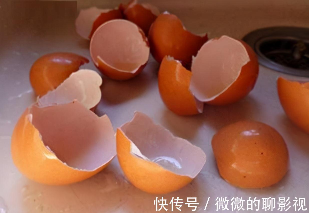 橙子皮|这3种食物废料别乱扔,自制无臭有机花肥,邻居们都羡慕坏了