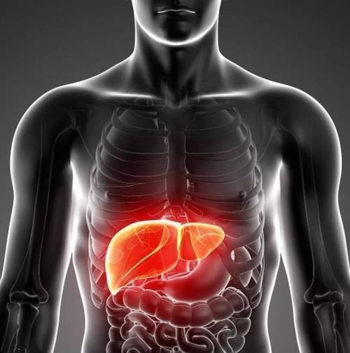 牛肉|肝不好的人不能吃牛肉?医生建议:养护肝脏,尽量多吃这3种食物