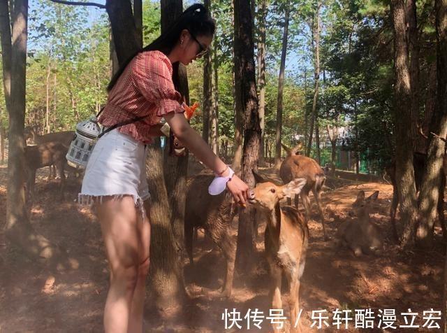 小鹿|假日放松,张常宁一双大长腿太抢镜,喂小鹿玩漂流,心情大好