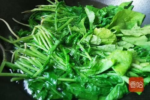 炒鸡蛋|这菜叶子别再扔掉了，比萝卜还营养，用来炒鸡蛋真香