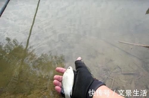 钓位|钓鱼人谴责别人的同时,也应该注意自己的这些行为