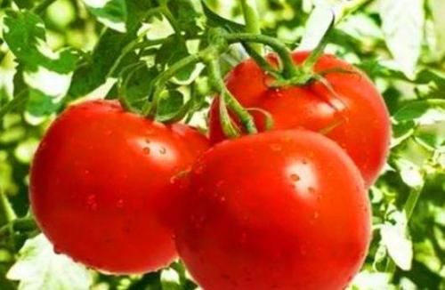 食物|正月养生正当时，以下食物要多吃，补气通便，补肾活血，长寿无忧