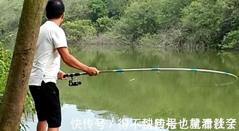 竿尖|怎么也没料到,热天用这两种钓法“招待”鲫鲤鱼,鱼获多到拎不动