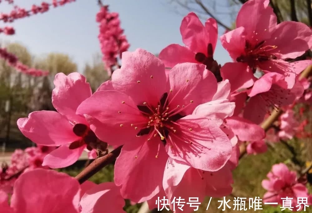 这首诗$有些诗人只有一首诗流传下来,这些诗人中最著名的是哪10位?