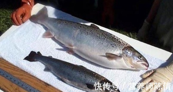 好处|常吃鱼肉,5个好处让人惊喜!有3类鱼不适合吃,要远离!