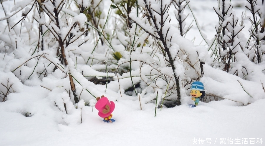 农事|今年冬天什么时候数九?2021年为什么叫“盲春年”,老农说农事