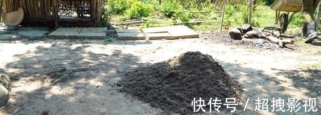 满铺|自己动手捯饬院子,塑料袋里灌水泥,铺满整个地面,比青石板结实