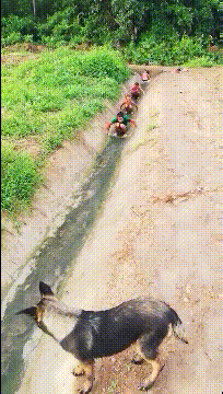 |搞笑GIF:这群人真的太会玩了,好想跟他们一起玩