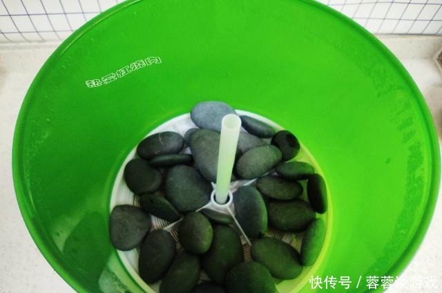 用了我这办法,发黄豆芽不会变臭一次就成功,五天就长15厘米高!