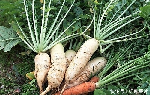  上火|冬季经常出现“上火”的情况怎么办？提示：多吃3种食物降降火