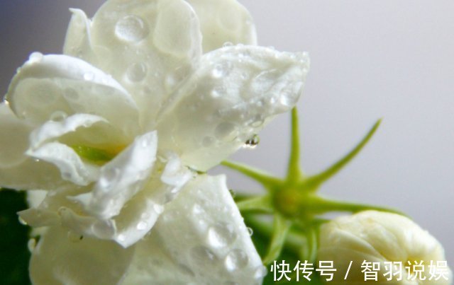 女性|“天然消炎药”,女性没事敞开吃,妇科炎症也许“绕道走”