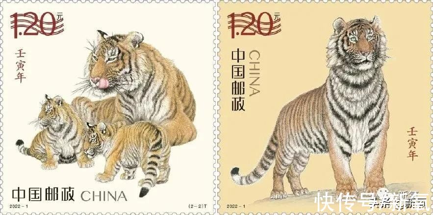 中秋节$《斛珠夫人》开播，我却被邮票吸引