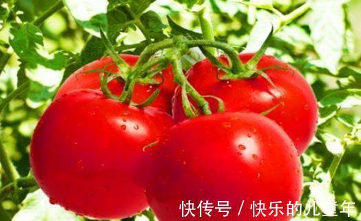 刮油|想肌肤细腻,秋天吃几种食物,润肤美容,抗衰老,谁吃谁变好