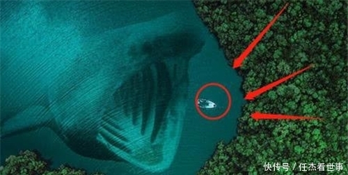 日本潜艇深入海底1万米，捕捉到的一海洋生物，给人类敲响了警钟