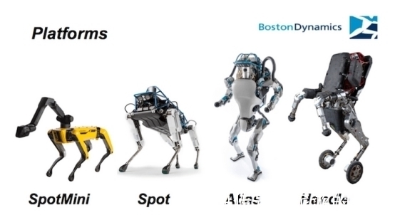 机器人|小鹏机器马、特斯拉机器人,“高质量”人工智能时代即将到来?