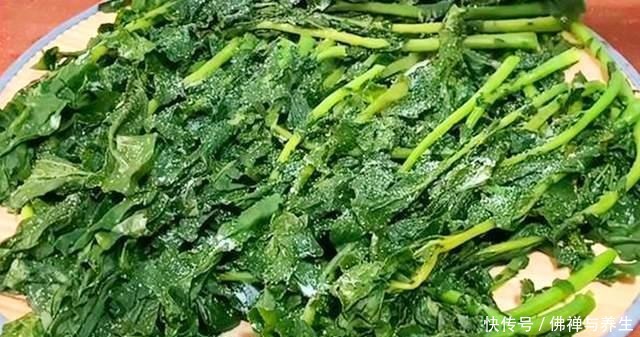 很多人只吃果肉,其实叶子才是宝贝,如今正当季,不懂吃可惜了