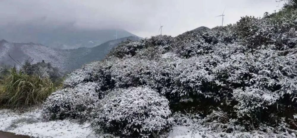 朋友圈|今天，湖口的朋友圈被下雪刷屏！这里积雪厚达3cm！超美~~